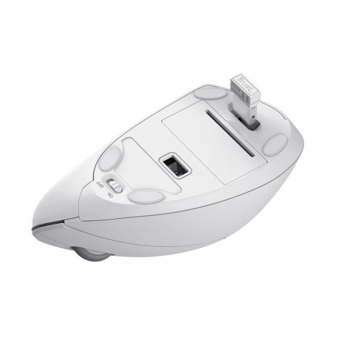 Миша Trust Verto Ergonomic Wireless (25132) White купити в Україні: Київ, Львів, Хмельницький, Тернопіль | Низька ціна, відгуки, характеристики від TELEMART фото