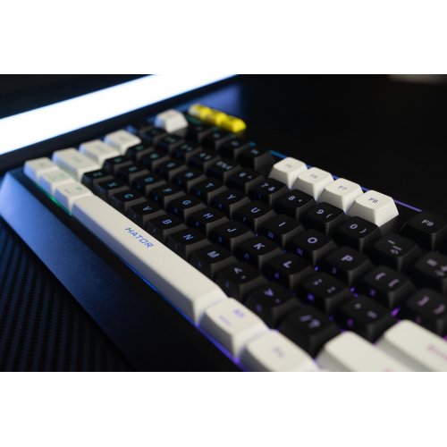 Купити Клавіатура HATOR Icefall (HTK400US) Black/White - ціна в Києві, Львові, Вінниці, Хмельницькому, Франківську, Україні | інтернет-магазин TELEMART.UA фото