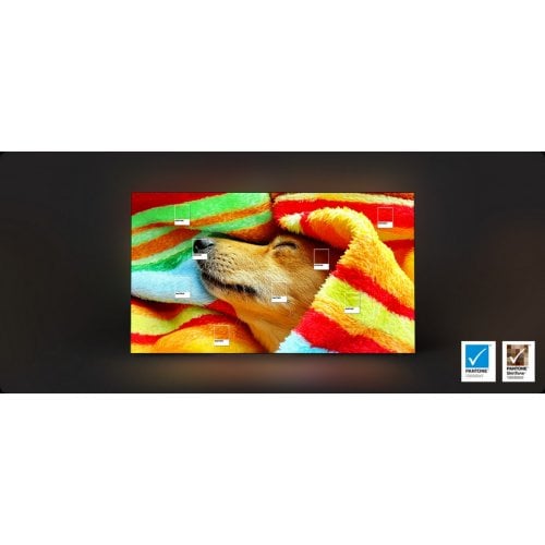 Купить Телевизор Samsung 65" OLED S85F 4K Vision AI (QE65S85FAEXUA) Black - цена в Харькове, Киеве, Днепре, Одессе
в интернет-магазине Telemart фото