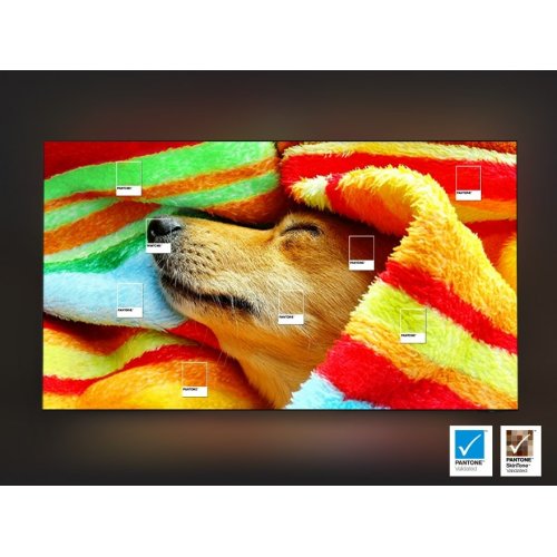 Купити Телевізор Samsung 75" Neo QLED QN70F 4K Vision AI (QE75QN70FAUXUA) Black - ціна в Києві, Львові, Вінниці, Хмельницькому, Франківську, Україні | інтернет-магазин TELEMART.UA фото