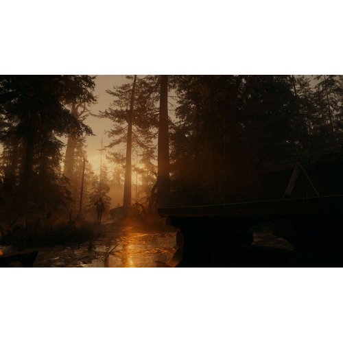 Купити Гра Alan Wake 2 Deluxe Edition (PS5) Blu-ray (5056635609427) - ціна в Києві, Львові, Вінниці, Хмельницькому, Франківську, Україні | інтернет-магазин TELEMART.UA фото