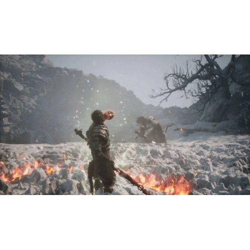 Купить Игра Black Myth: Wukong (PS5) Blu-ray (5056635611864) - цена в Харькове, Киеве, Днепре, Одессе
в интернет-магазине Telemart фото