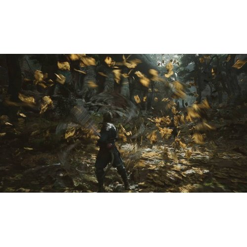 Купить Игра Black Myth: Wukong (PS5) Blu-ray (5056635611864) - цена в Харькове, Киеве, Днепре, Одессе
в интернет-магазине Telemart фото
