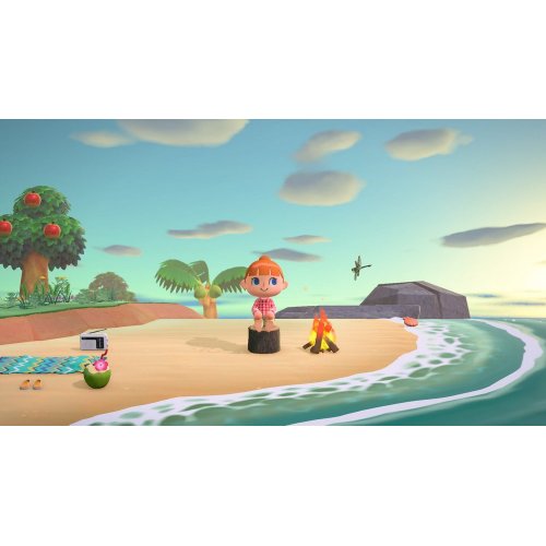 Купити Гра Animal Crossing: New Horizons (Nintendo Switch) (045496425470) - ціна в Києві, Львові, Вінниці, Хмельницькому, Франківську, Україні | інтернет-магазин TELEMART.UA фото