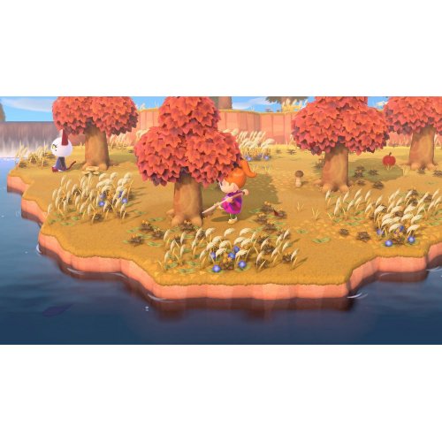 Купить Игра Animal Crossing: New Horizons (Nintendo Switch) (045496425449) - цена в Харькове, Киеве, Днепре, Одессе
в интернет-магазине Telemart фото