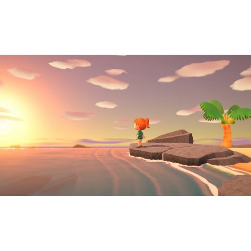 Купить Игра Animal Crossing: New Horizons (Nintendo Switch) (045496425449) - цена в Харькове, Киеве, Днепре, Одессе
в интернет-магазине Telemart фото