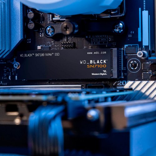 Купить SSD-диск Western Digital Black SN7100 3D NAND TLC 1TB M.2 (2280 PCI-E) NVMe x4 (WDS100T4X0E) с проверкой совместимости: обзор, характеристики, цена в Киеве, Днепре, Одессе, Харькове, Украине | интернет-магазин TELEMART.UA фото