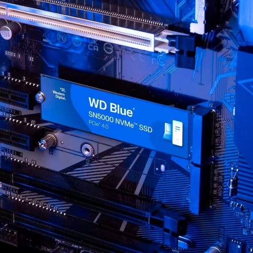Купить SSD-диск Western Digital Blue SN5000 3D NAND TLC 500GB (2280 PCI-E) NVMe x4 (WDS500G4B0E) с проверкой совместимости: обзор, характеристики, цена в Киеве, Днепре, Одессе, Харькове, Украине | интернет-магазин TELEMART.UA фото