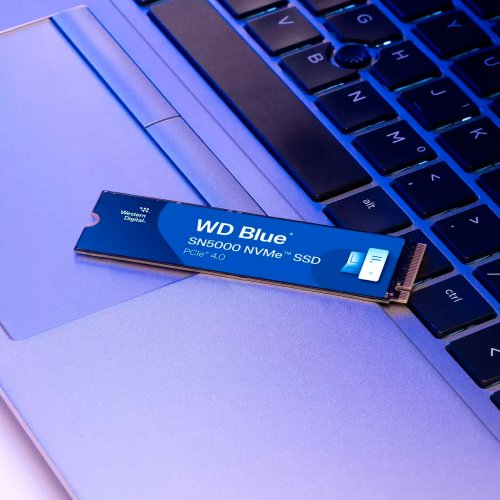 Купить SSD-диск Western Digital Blue SN5000 3D NAND TLC 500GB (2280 PCI-E) NVMe x4 (WDS500G4B0E) с проверкой совместимости: обзор, характеристики, цена в Киеве, Днепре, Одессе, Харькове, Украине | интернет-магазин TELEMART.UA фото