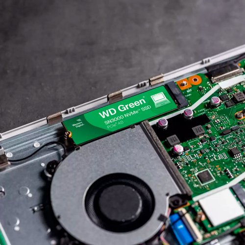 Купить SSD-диск Western Digital Green SN3000 3D NAND QLC 500GB (2280 PCI-E) NVMe x4 (WDS500G4G0E) с проверкой совместимости: обзор, характеристики, цена в Киеве, Днепре, Одессе, Харькове, Украине | интернет-магазин TELEMART.UA фото