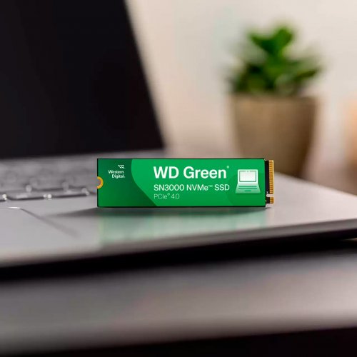 Купить SSD-диск Western Digital Green SN3000 3D NAND QLC 500GB (2280 PCI-E) NVMe x4 (WDS500G4G0E) с проверкой совместимости: обзор, характеристики, цена в Киеве, Днепре, Одессе, Харькове, Украине | интернет-магазин TELEMART.UA фото