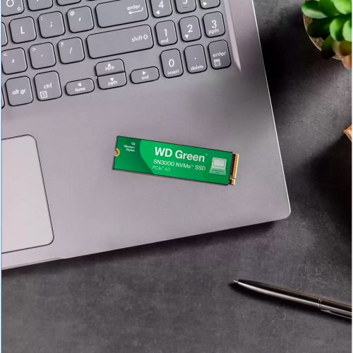 Купить SSD-диск Western Digital Green SN3000 3D NAND QLC 500GB (2280 PCI-E) NVMe x4 (WDS500G4G0E) с проверкой совместимости: обзор, характеристики, цена в Киеве, Днепре, Одессе, Харькове, Украине | интернет-магазин TELEMART.UA фото