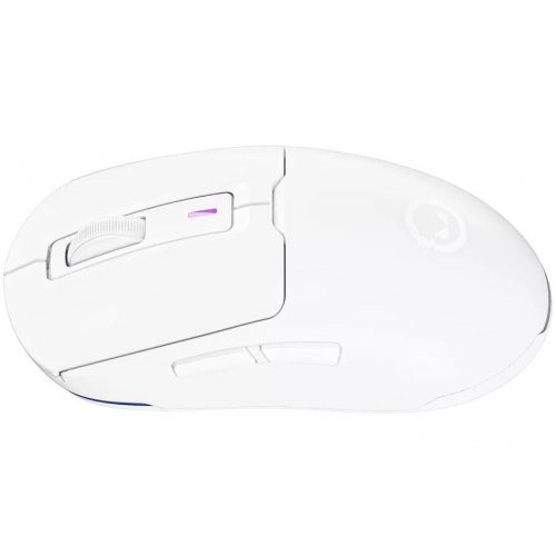 Купить Мышка Lorgar MSA10W (LRG-MSA10W-WH) White - цена в Харькове, Киеве, Днепре, Одессе
в интернет-магазине Telemart фото