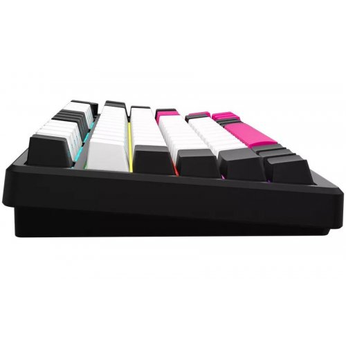 Купить Клавиатура Lorgar KBP7075W Pro RGB Mechanical Linear Toxic Purple Switches Wireless (LRG-KBP7075W-BK-US) Black - цена в Харькове, Киеве, Днепре, Одессе
в интернет-магазине Telemart фото
