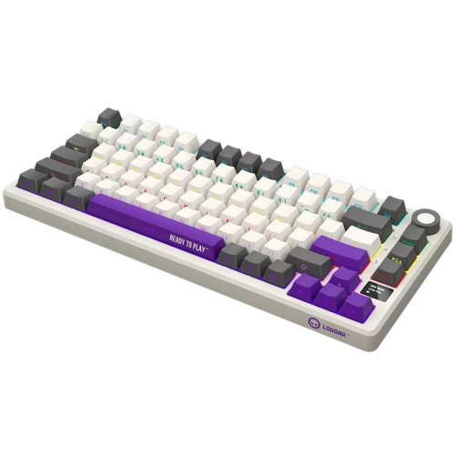 Купить Клавиатура Lorgar KBP7075W Pro RGB Mechanical Linear Toxic Purple Switches Wireless (LRG-KBP7075W-RT-US) Beige - цена в Харькове, Киеве, Днепре, Одессе
в интернет-магазине Telemart фото