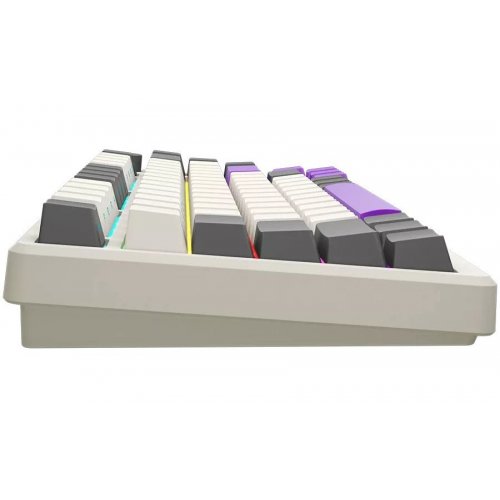 Купить Клавиатура Lorgar KBP7075W Pro RGB Mechanical Linear Toxic Purple Switches Wireless (LRG-KBP7075W-RT-US) Beige - цена в Харькове, Киеве, Днепре, Одессе
в интернет-магазине Telemart фото