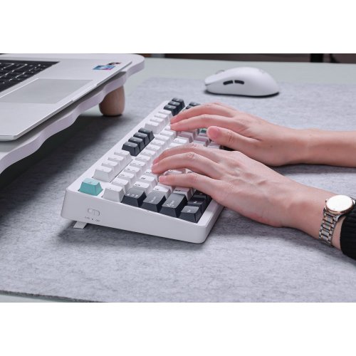 Клавіатура MCHOSE G87 RGB Mechanical Cabbage Tofu Switch V2 Wireless (MC-G87-2-UA) Cyan Blue купити в Україні: Київ, Львів, Хмельницький, Тернопіль | Низька ціна, відгуки, характеристики від TELEMART фото