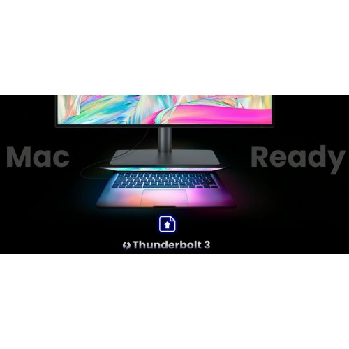 Купить Монитор BenQ 31.5" PD3225U (9H.LLYLA.TBE) Black - цена в Харькове, Киеве, Днепре, Одессе
в интернет-магазине Telemart фото