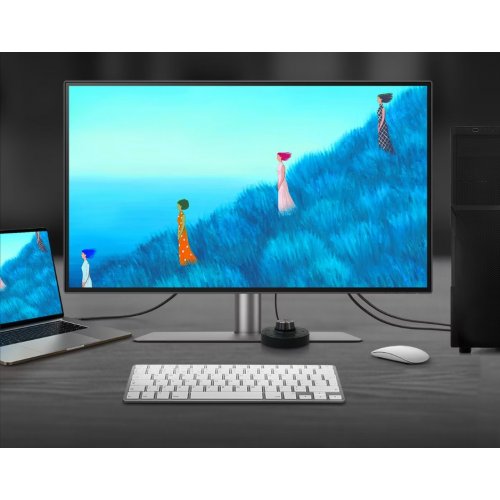Купить Монитор BenQ 31.5" PD3225U (9H.LLYLA.TBE) Black - цена в Харькове, Киеве, Днепре, Одессе
в интернет-магазине Telemart фото