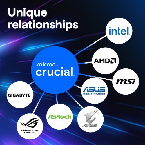 ОЗП Crucial DDR5 16GB 6000Mhz Pro (CP16G60C48U5) купити з перевіркою сумісності: огляд, характеристики, ціна у Києві, Львові, Вінниці, Хмельницькому, Івано-Франківську, Україні | інтернет-магазин TELEMART.UA фото