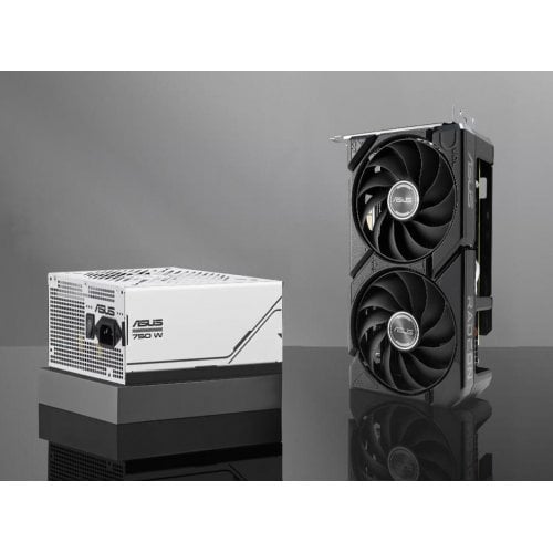 Відеокарта Asus Radeon RX 9060 XT Dual 8192MB (DUAL-RX9060XT-8G) купити з перевіркою сумісності: огляд, характеристики, ціна у Києві, Львові, Вінниці, Хмельницькому, Івано-Франківську, Україні | інтернет-магазин TELEMART.UA фото