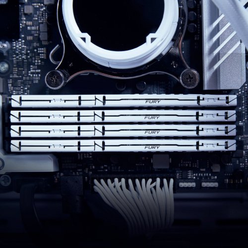Купить Уценка озу Kingston DDR5 32GB 6400Mhz FURY Beast White (KF564C32BWE-32) (Повреждена упаковка, 770807) с проверкой совместимости: обзор, характеристики, цена в Киеве, Днепре, Одессе, Харькове, Украине | интернет-магазин TELEMART.UA фото