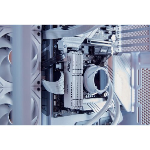 Купить Уценка озу Kingston DDR5 32GB 6400Mhz FURY Beast White (KF564C32BWE-32) (Повреждена упаковка, 770807) с проверкой совместимости: обзор, характеристики, цена в Киеве, Днепре, Одессе, Харькове, Украине | интернет-магазин TELEMART.UA фото