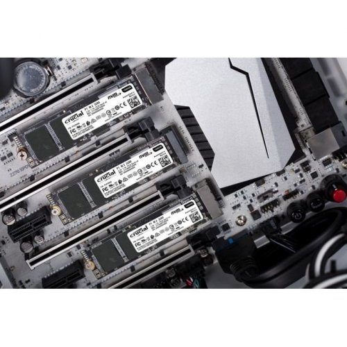SSD-диск Crucial P1 3D NAND 500GB M.2 (2280 PCI-E) NVMe x4 (CT500P1SSD8) (Відновлено продавцем, 771851) купити з перевіркою сумісності: огляд, характеристики, ціна у Києві, Львові, Вінниці, Хмельницькому, Івано-Франківську, Україні | інтернет-магазин TELEMART.UA фото