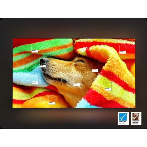 Купити Телевізор Samsung 48" OLED S90F 4K (QE48S90FAEXUA) Black - ціна в Києві, Львові, Вінниці, Хмельницькому, Франківську, Україні | інтернет-магазин TELEMART.UA фото