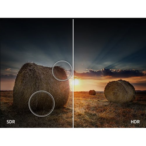 Купити Телевізор Samsung 55" QLED Q7F5 4K (QE55Q7F5AUXUA) Black - ціна в Києві, Львові, Вінниці, Хмельницькому, Франківську, Україні | інтернет-магазин TELEMART.UA фото