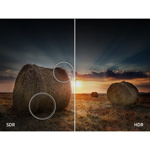 Купити Телевізор Samsung 65" The Frame LS03F 4K (QE65LS03FAUXUA) Black - ціна в Києві, Львові, Вінниці, Хмельницькому, Франківську, Україні | інтернет-магазин TELEMART.UA фото