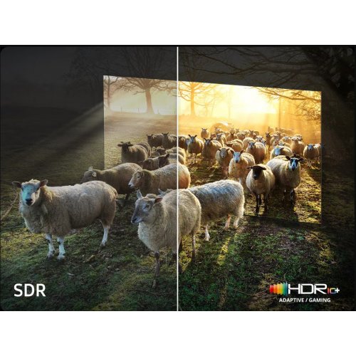 Купить Телевизор Samsung 65" Neo QLED QN900F 8K (QE65QN900FUXUA) Black - цена в Харькове, Киеве, Днепре, Одессе
в интернет-магазине Telemart фото