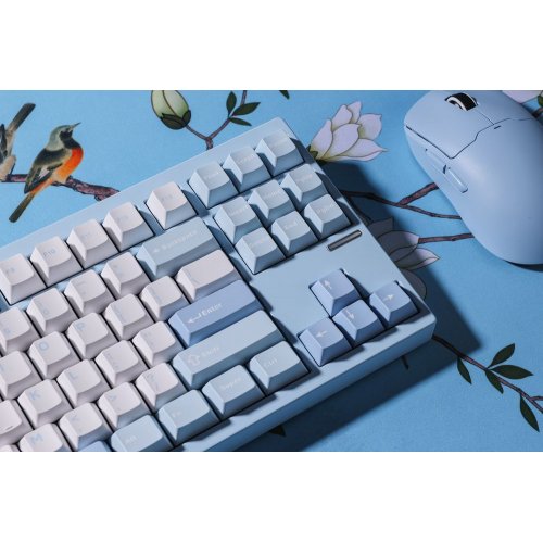 Клавиатура MCHOSE GX87 Lite RGB Mechanical HUANO Matcha Latte V2 Switch Wireless (MC-GX87-A9) Blue Nano Spraying купить в Украине: Киев, Днепр, Харьков, Одесса  | Низкая цена, отзывы, характеристики от TELEMART фото