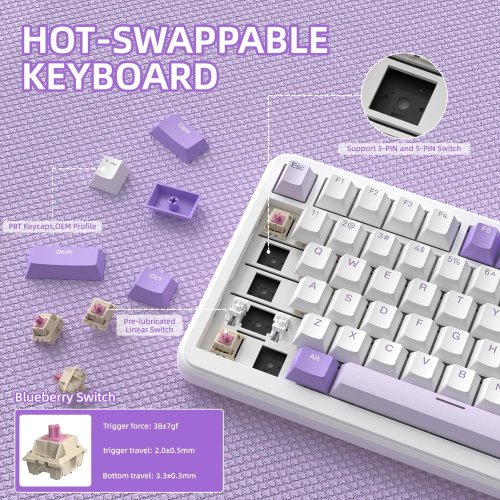 Купити Клавіатура Attack Shark X85 Pro RGB Linear Blueberry Switch Wireless (AS-6972792470368-L-UA) Lavender - ціна в Києві, Львові, Вінниці, Хмельницькому, Франківську, Україні | інтернет-магазин TELEMART.UA фото
