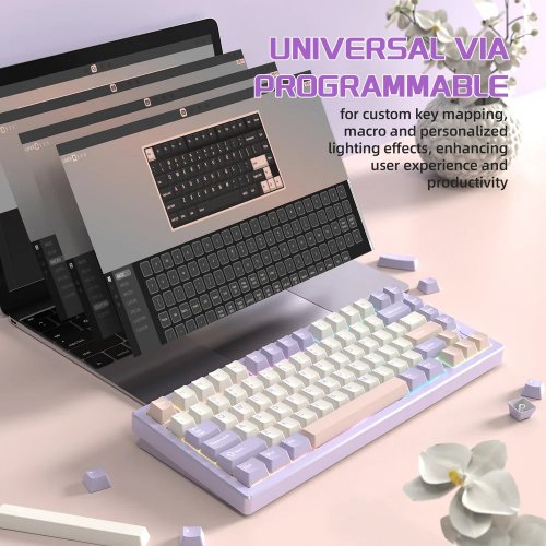 Купити Клавіатура Attack Shark X75 RGB Kailh MX Switch Wireless (AS-6972792470382-TP-UA) Twilight Purple - ціна в Києві, Львові, Вінниці, Хмельницькому, Франківську, Україні | інтернет-магазин TELEMART.UA фото