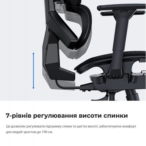 Ігрове крісло Anda Seat X-Air Mega Size XL Mesh (AD-WY-01-GGF) Gray купити в Україні: Київ, Львів, Хмельницький, Тернопіль, Івано-Франківськ | Низька ціна, відгуки, характеристики від TELEMART фото