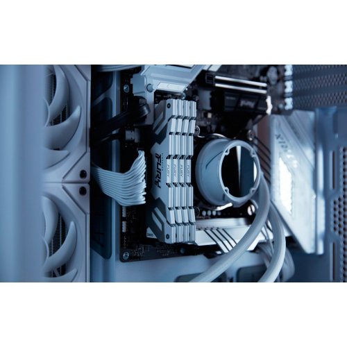 Купить ОЗУ Kingston DDR5 24GB 8000Mhz FURY Renegade Silver/White (KF580C38RW-24) с проверкой совместимости: обзор, характеристики, цена в Киеве, Днепре, Одессе, Харькове, Украине | интернет-магазин TELEMART.UA фото