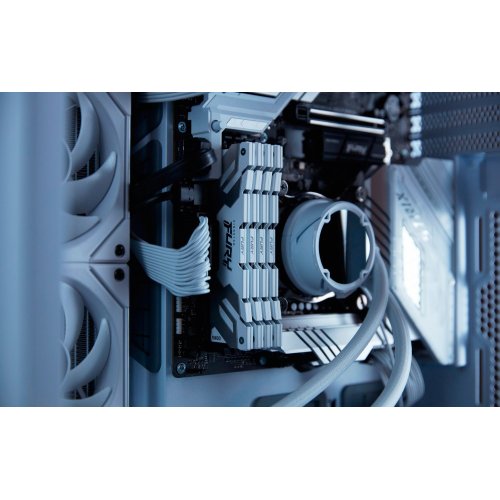 ОЗП Kingston CUDIMM DDR5 48GB (2x24GB) 8800Mhz FURY Renegade Silver/White (KF588CU42RWK2-48) купити з перевіркою сумісності: огляд, характеристики, ціна у Києві, Львові, Вінниці, Хмельницькому, Івано-Франківську, Україні | інтернет-магазин TELEMART.UA фото