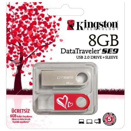 Купити Накопичувач Kingston DataTraveler SE9 8GB Valentines - ціна в Києві, Львові, Вінниці, Хмельницькому, Франківську, Україні | інтернет-магазин TELEMART.UA фото