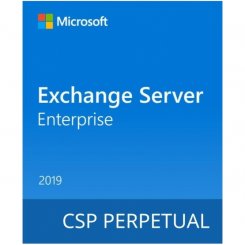 Офісний додаток Microsoft Exchange Server Enterprise 2019 (DG7GMGF0F4MF-0003)