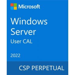 Операционная система Microsoft Windows Server 2022 - 1 User CAL (DG7GMGF0D5VX-0007)