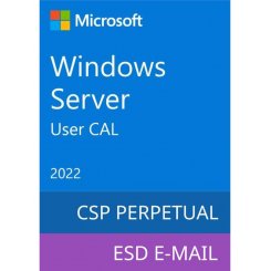 Операционная система Microsoft Windows Server 2022 - 1 User CAL (DG7GMGF0D5VX-0007)