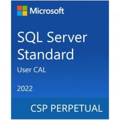 Програмний продукт Microsoft SQL Server 2022 - 1 User CAL (DG7GMGF0MF3T-0002)