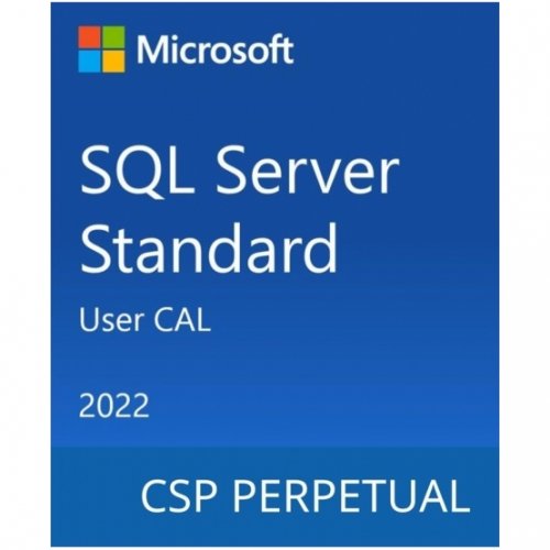 

Microsoft SQL Server 2022 - 1 User CAL (DG7GMGF0MF3T-0002)