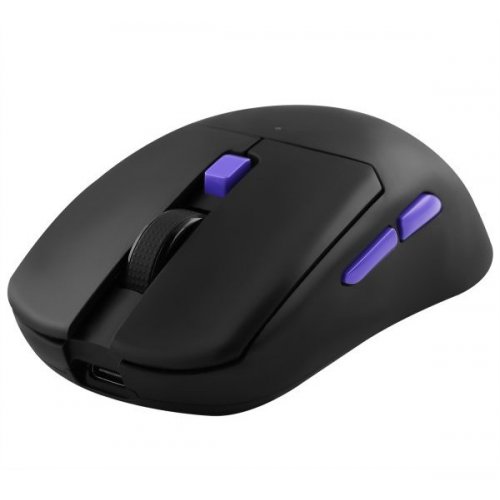 Купити Миша Proove Gaming Everon (WMEV00022001) Black - ціна в Києві, Львові, Вінниці, Хмельницькому, Франківську, Україні | інтернет-магазин TELEMART.UA фото