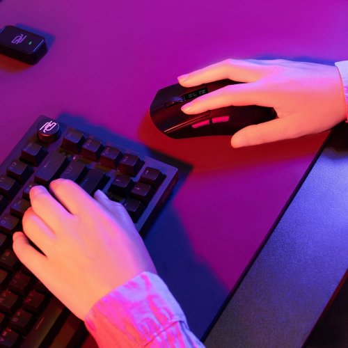 Мышка Proove Gaming Jester 8K (WMJS00022001) Black купить в Украине: Киев, Днепр, Харьков, Одесса  | Низкая цена, отзывы, характеристики от TELEMART фото