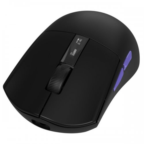 Купить Мышка Proove Gaming Jester 8K (WMJS00022001) Black - цена в Харькове, Киеве, Днепре, Одессе
в интернет-магазине Telemart фото