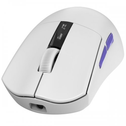 Купити Миша Proove Gaming Jester 8K (WMJS00022002) White - ціна в Києві, Львові, Вінниці, Хмельницькому, Франківську, Україні | інтернет-магазин TELEMART.UA фото