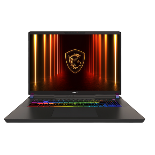 Купити Ноутбук MSI Vector 17 HX AI A2XWIG (9S7-17S372-030) Cosmos Gray - ціна в Києві, Львові, Вінниці, Хмельницькому, Франківську, Україні | інтернет-магазин TELEMART.UA фото