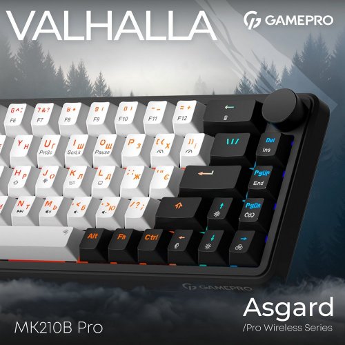 Купить Клавиатура GamePro Asgard Valhalla MK210 Pro RGB QLAB Orange Switches Black - цена в Харькове, Киеве, Днепре, Одессе
в интернет-магазине Telemart фото